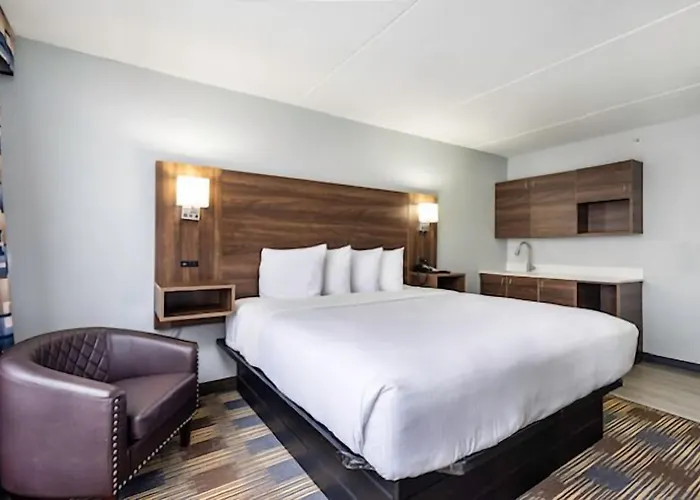 Hotel Baymont By Wyndham - Chicago - - O'hare Addison